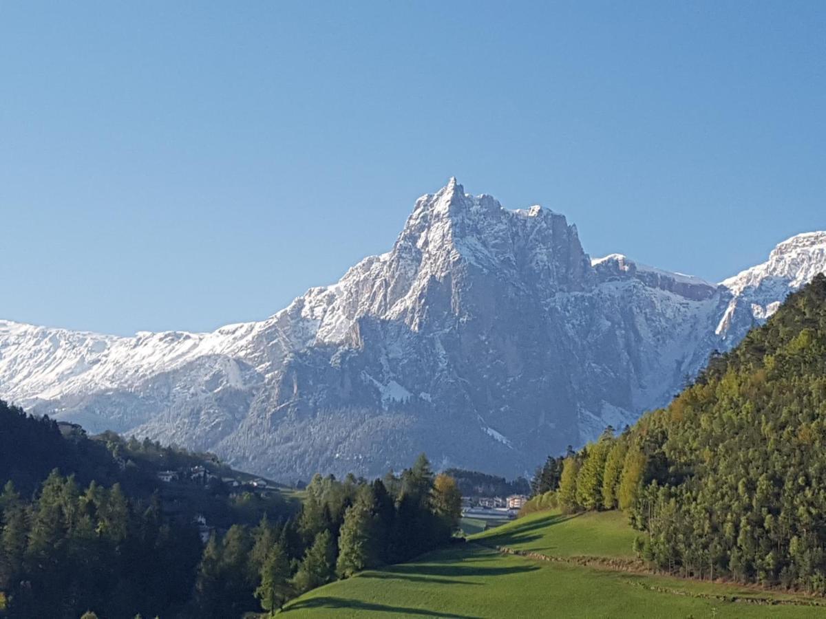 Hofer Hof Leilighet Castelrotto Eksteriør bilde